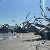 Review photo of Jekyll Island Campground by Robert V., December 29, 2021