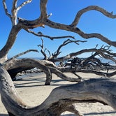 Review photo of Jekyll Island Campground by Robert V., December 29, 2021