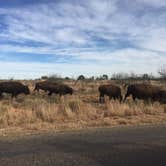 Review photo of Little Red Tent Camping Area — Caprock Canyons State Park by Sarah D., July 9, 2018