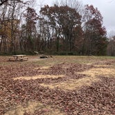 Review photo of Sawmill Lake Campsite by Mitchell M., December 29, 2021