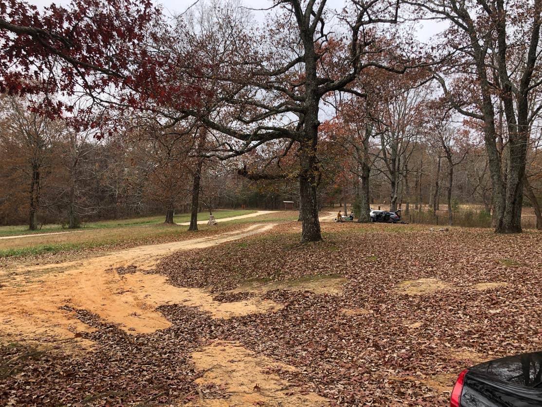Sawmill Lake Campsite Camping The Dyrt