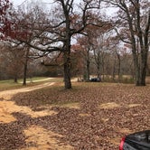 Review photo of Sawmill Lake Campsite by Mitchell M., December 29, 2021