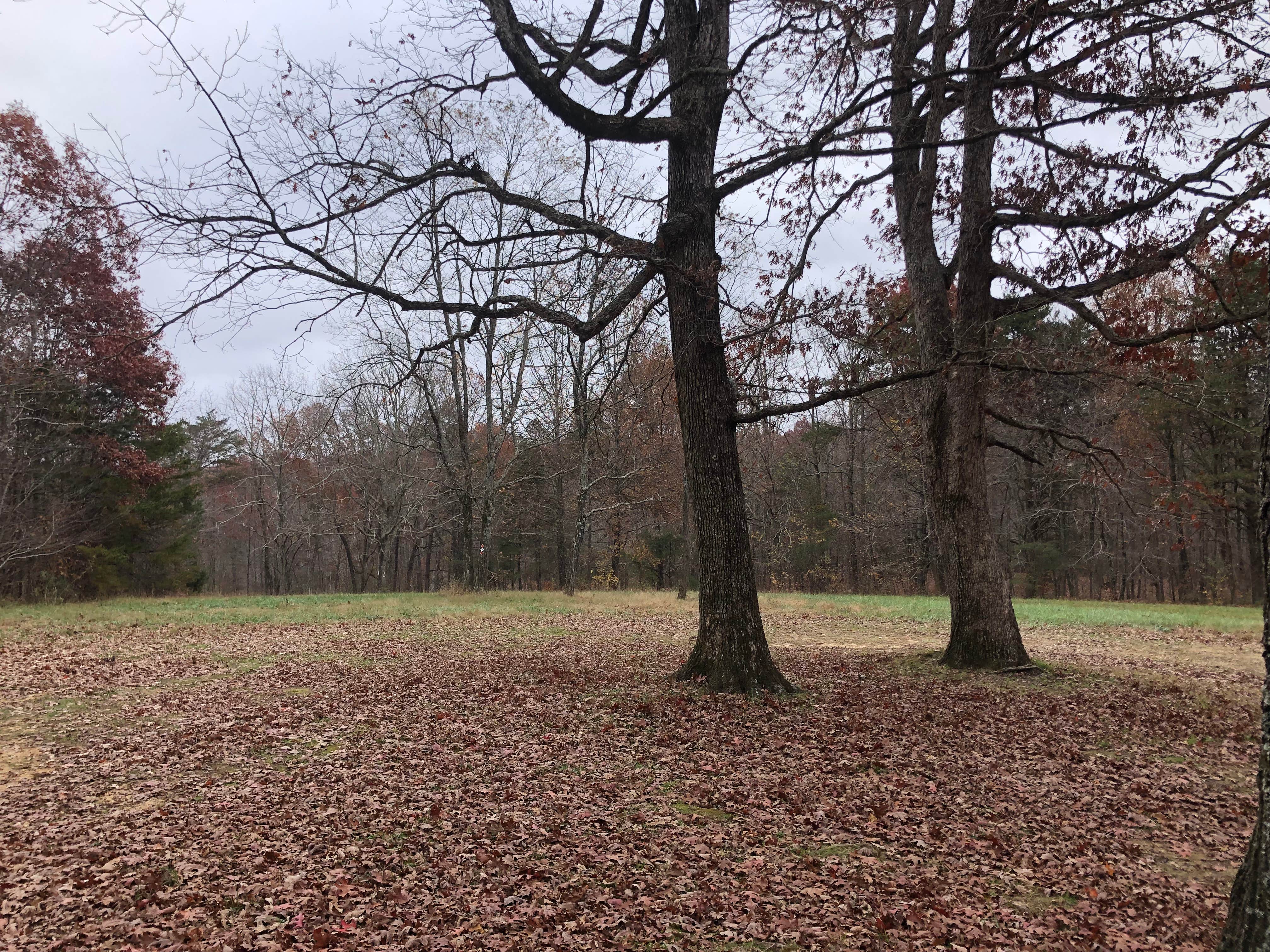 Camper-submitted photo at Sawmill Lake Campsite near Apison, TN