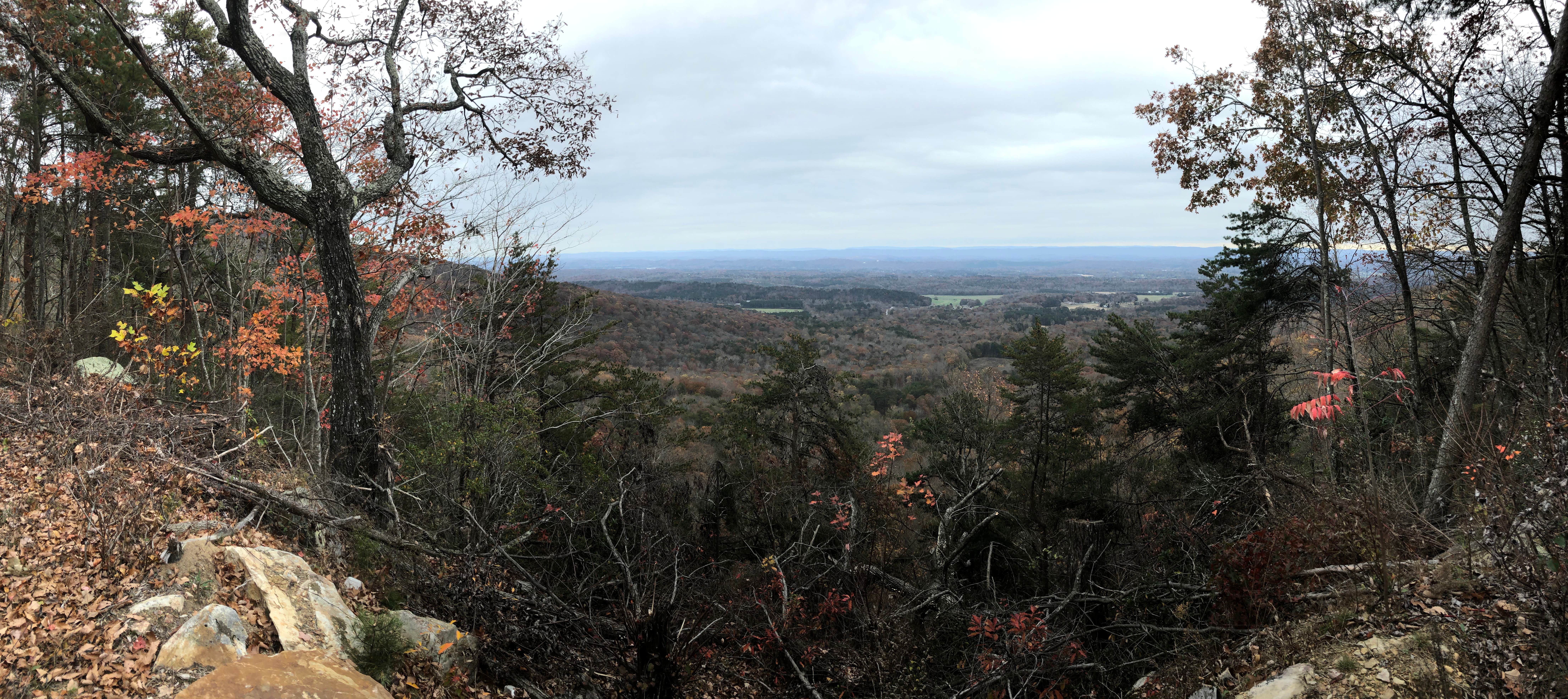 Camper-submitted photo at Sawmill Lake Campsite near Langston, AL