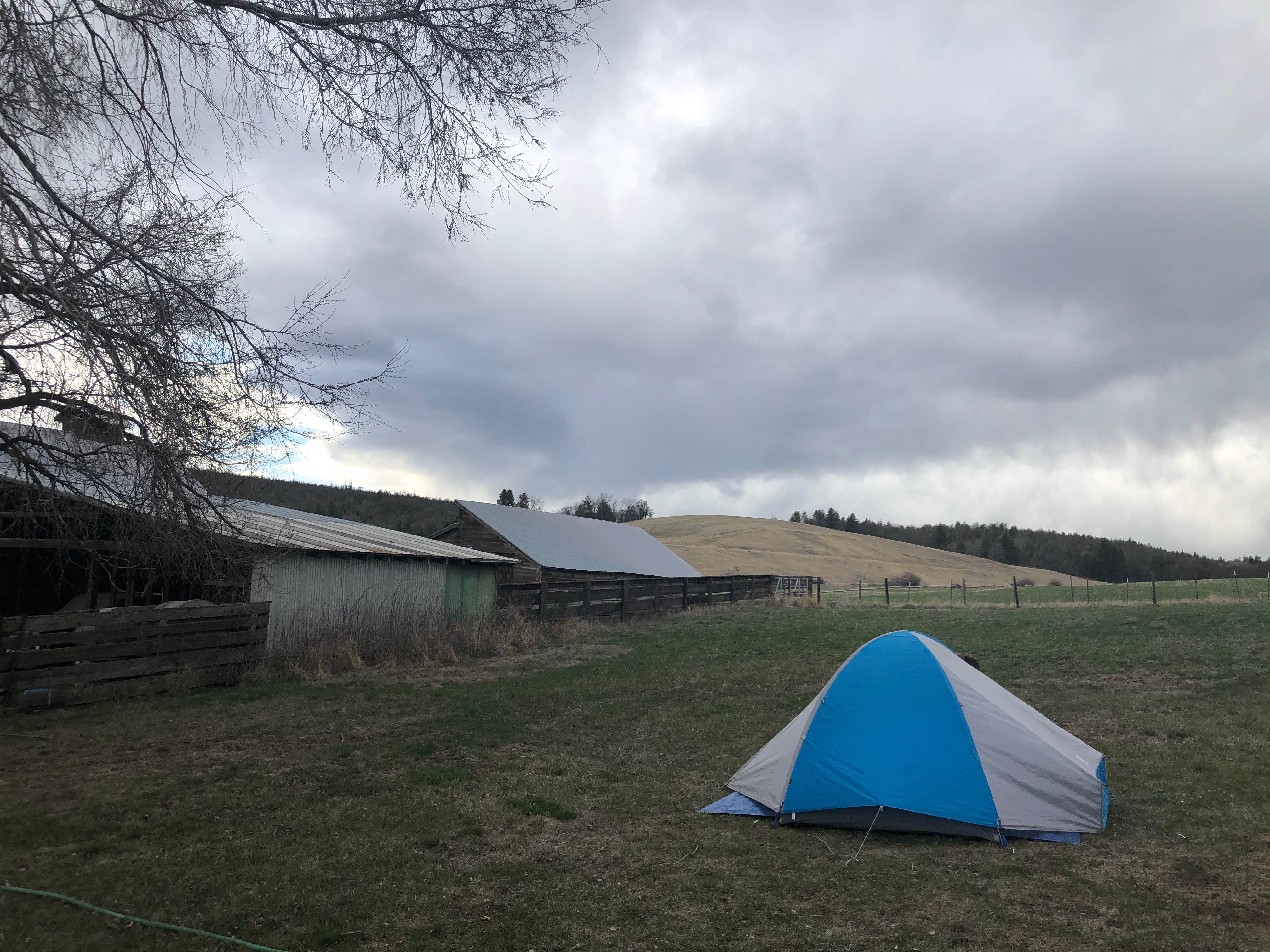 Camper submitted image from Carbon Farm Yard - 5