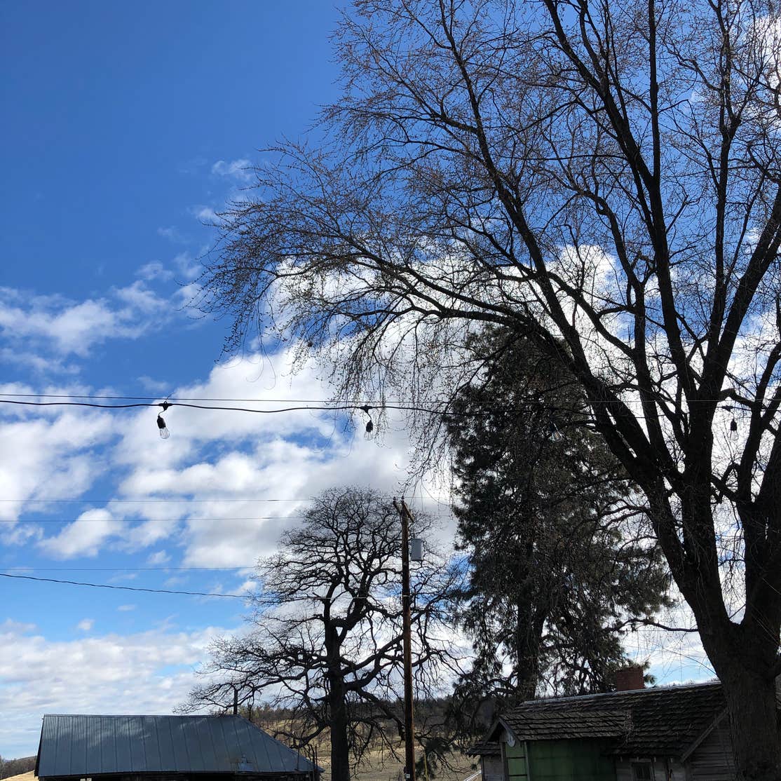 Carbon Farm Yard Camping Dufur, OR