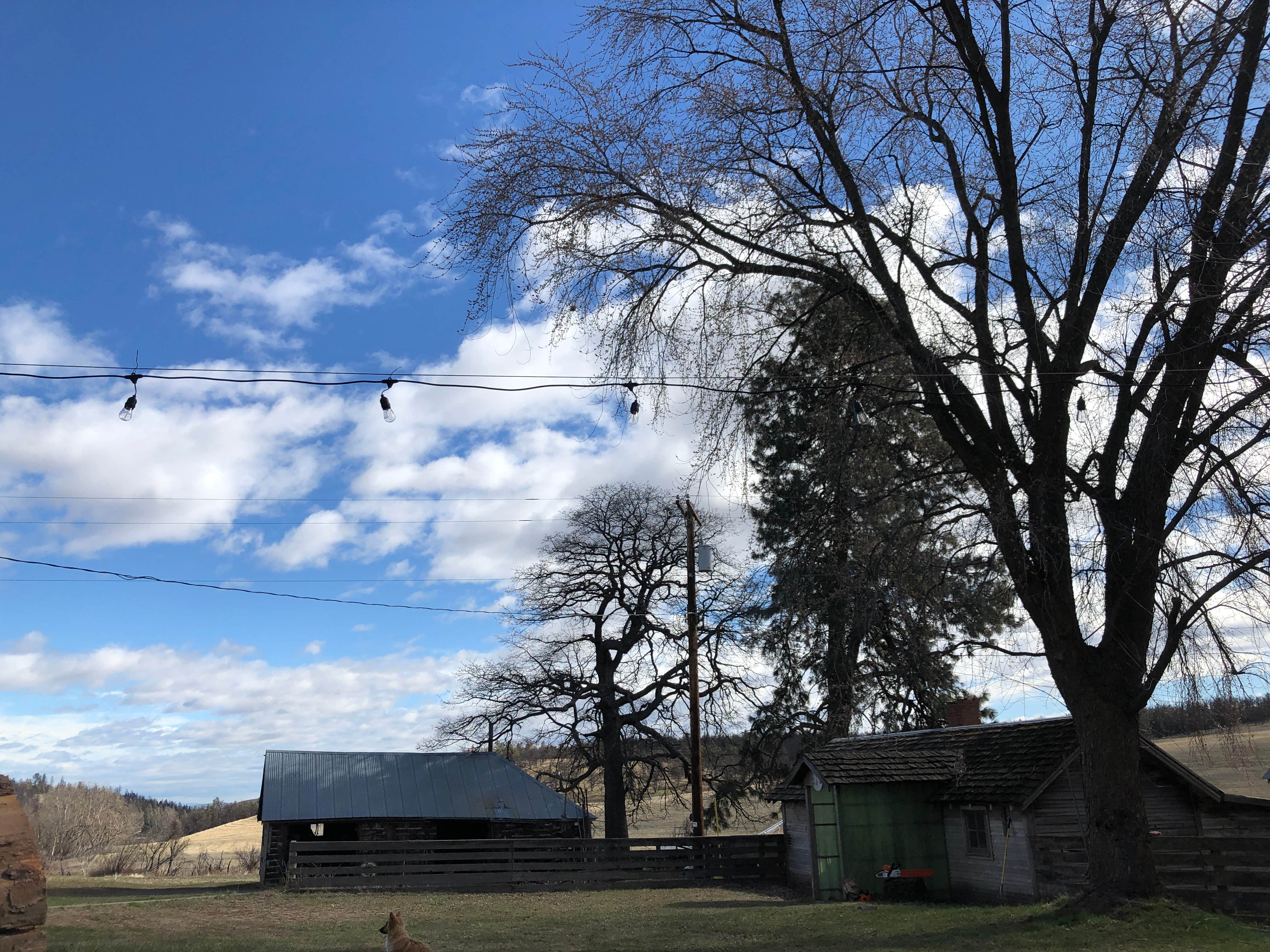 Camper submitted image from Carbon Farm Yard - 2