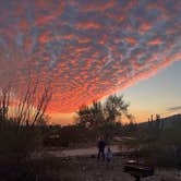 Review photo of Twin Peaks Campground — Organ Pipe Cactus National Monument by Justin C., December 29, 2021