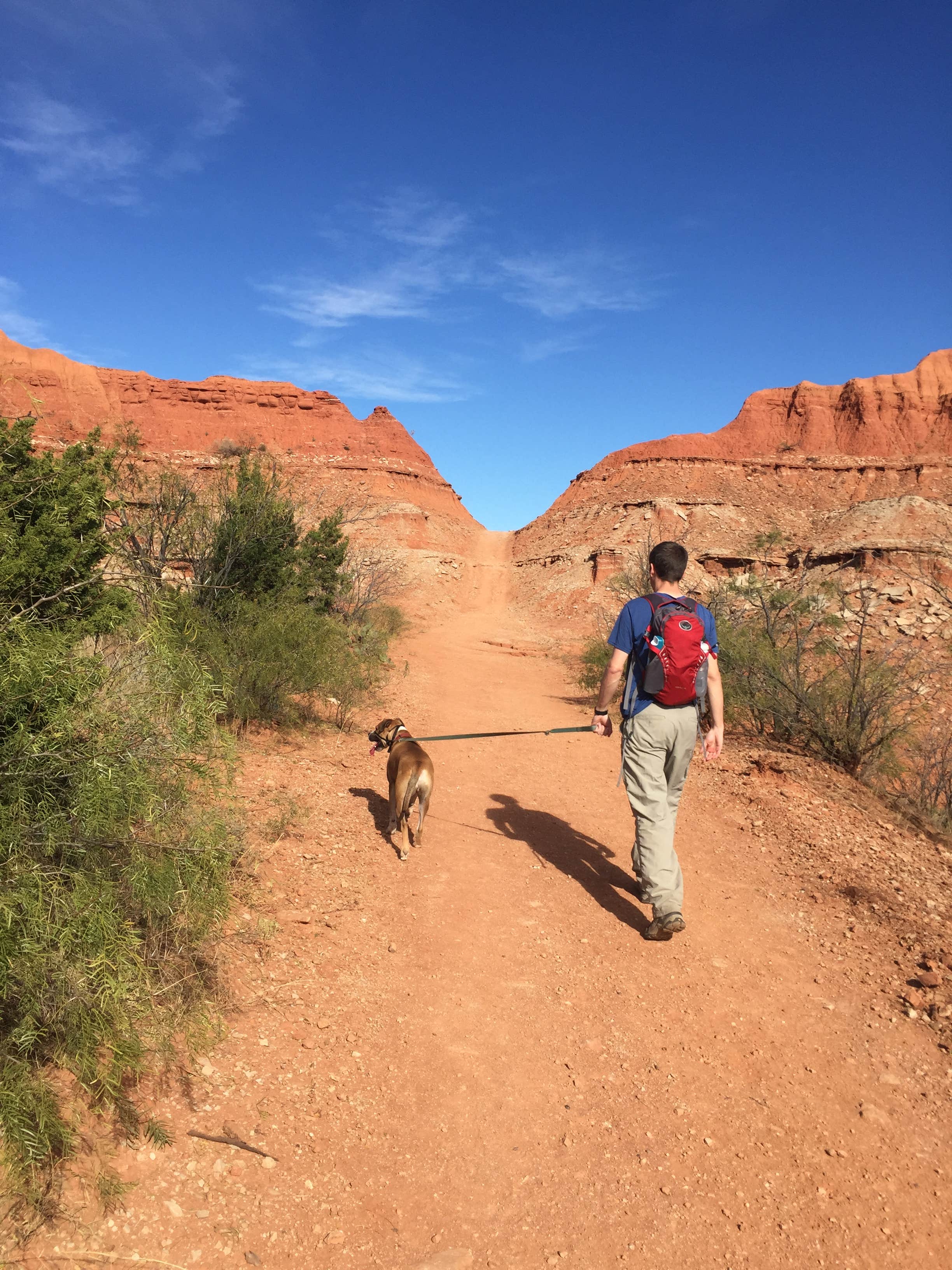 Camper-submitted photo at Little Red Tent Camping Area — Caprock Canyons State Park near Quitaque, TX