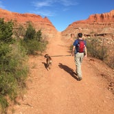 Review photo of Caprock Canyons State Park Campground by Sarah D., July 9, 2018