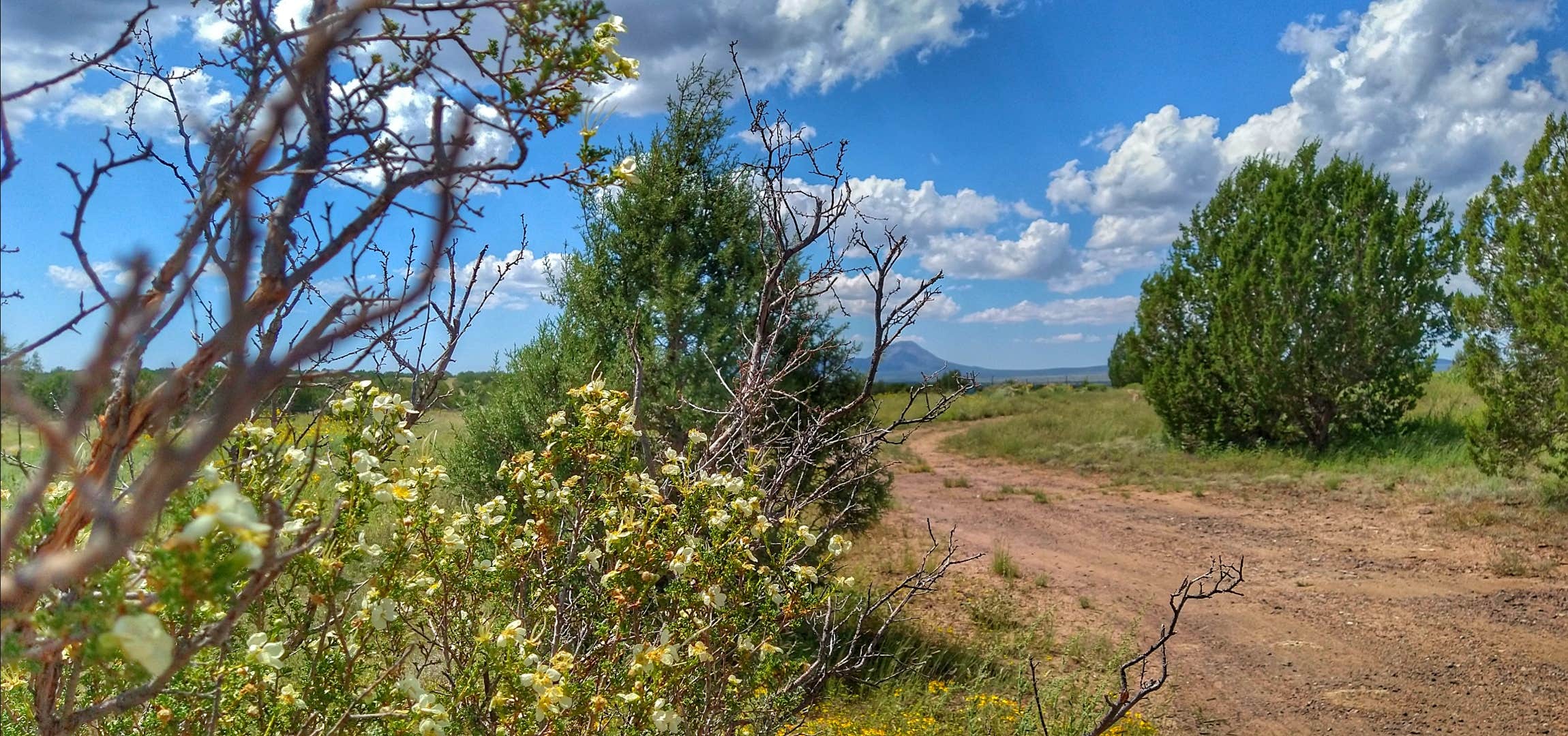 Camper-submitted photo at A Spark in the Dark near Paulden, AZ