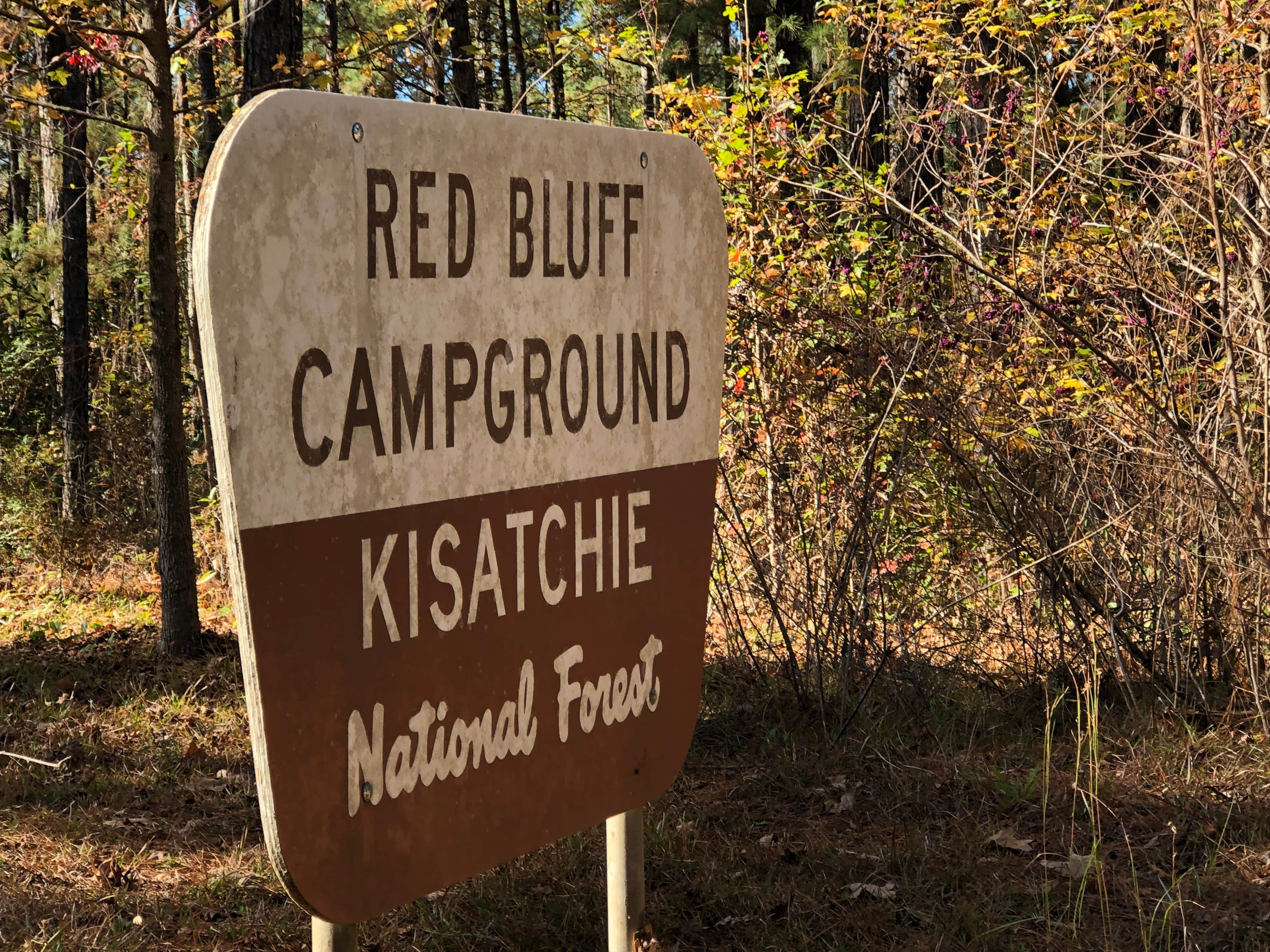 Camper-submitted photo at Red Bluff Camp near Natchitoches, LA