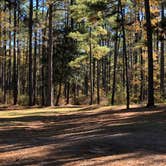 Review photo of Red Bluff Camp by N I., December 29, 2021