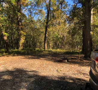 Camper-submitted photo from Lake Chicot State Park Campground