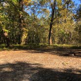 Review photo of Delta National Forest Site 45/45A by N I., December 15, 2021