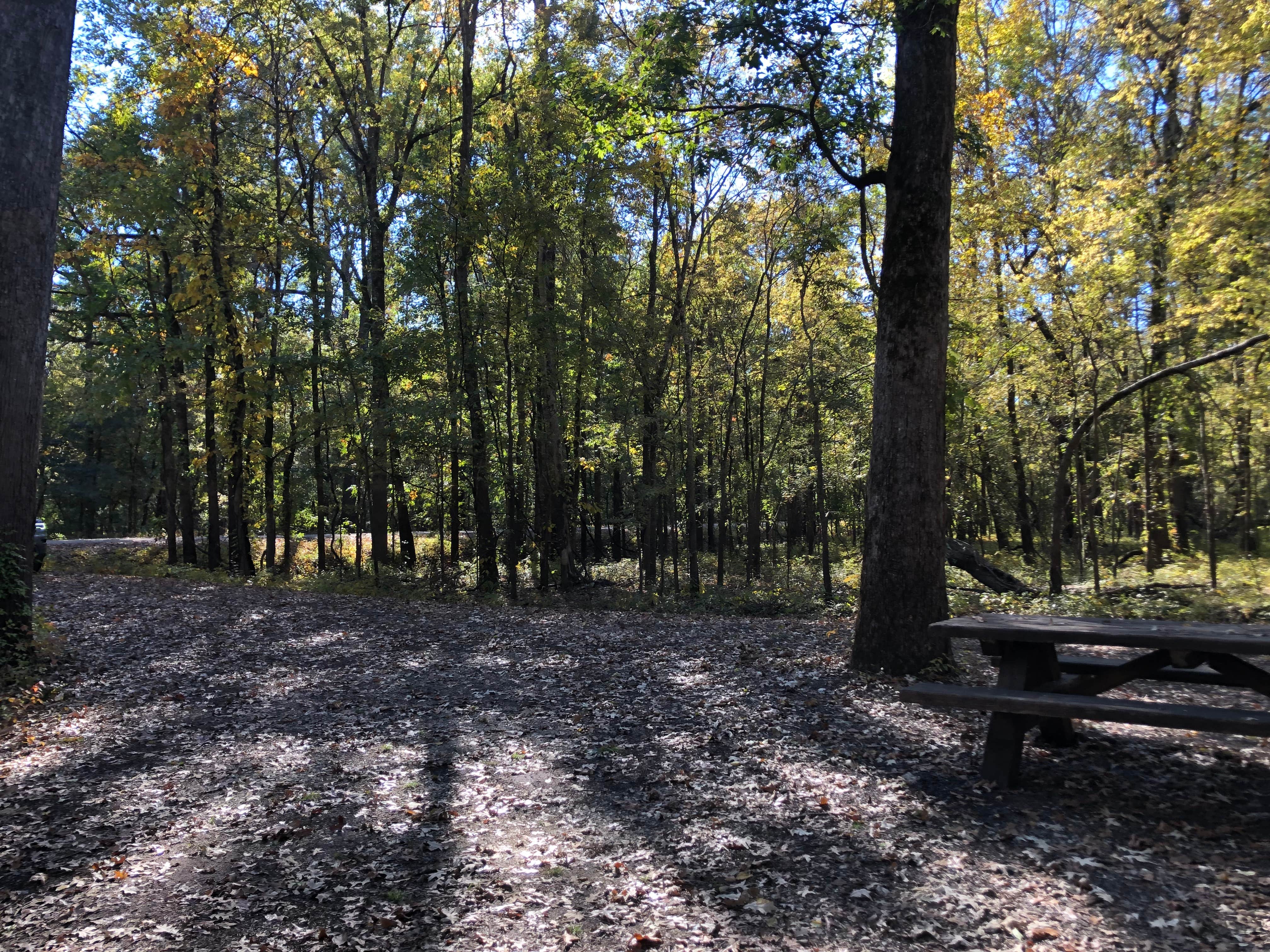Camper-submitted photo at Delta National Forest Site 45/45A near Delta National Forest
