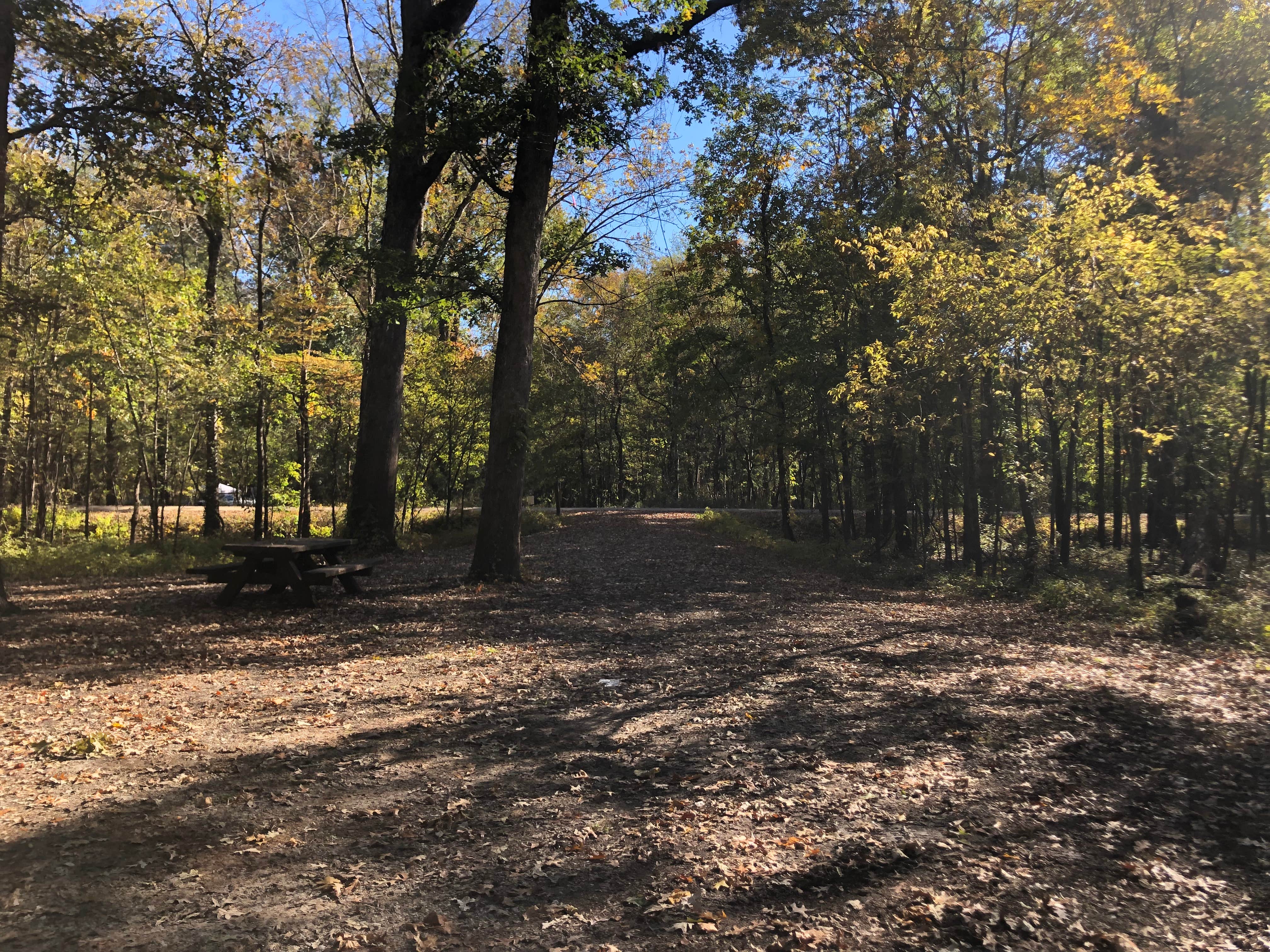 Camping near Ameristar RV Resort Park: Delta National Forest Site 45/45A, Rolling Fork, Mississippi