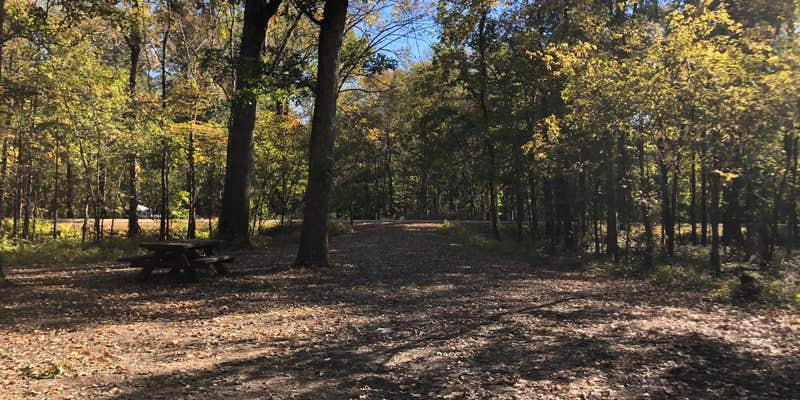 Camper submitted image from Delta National Forest Site 45/45A