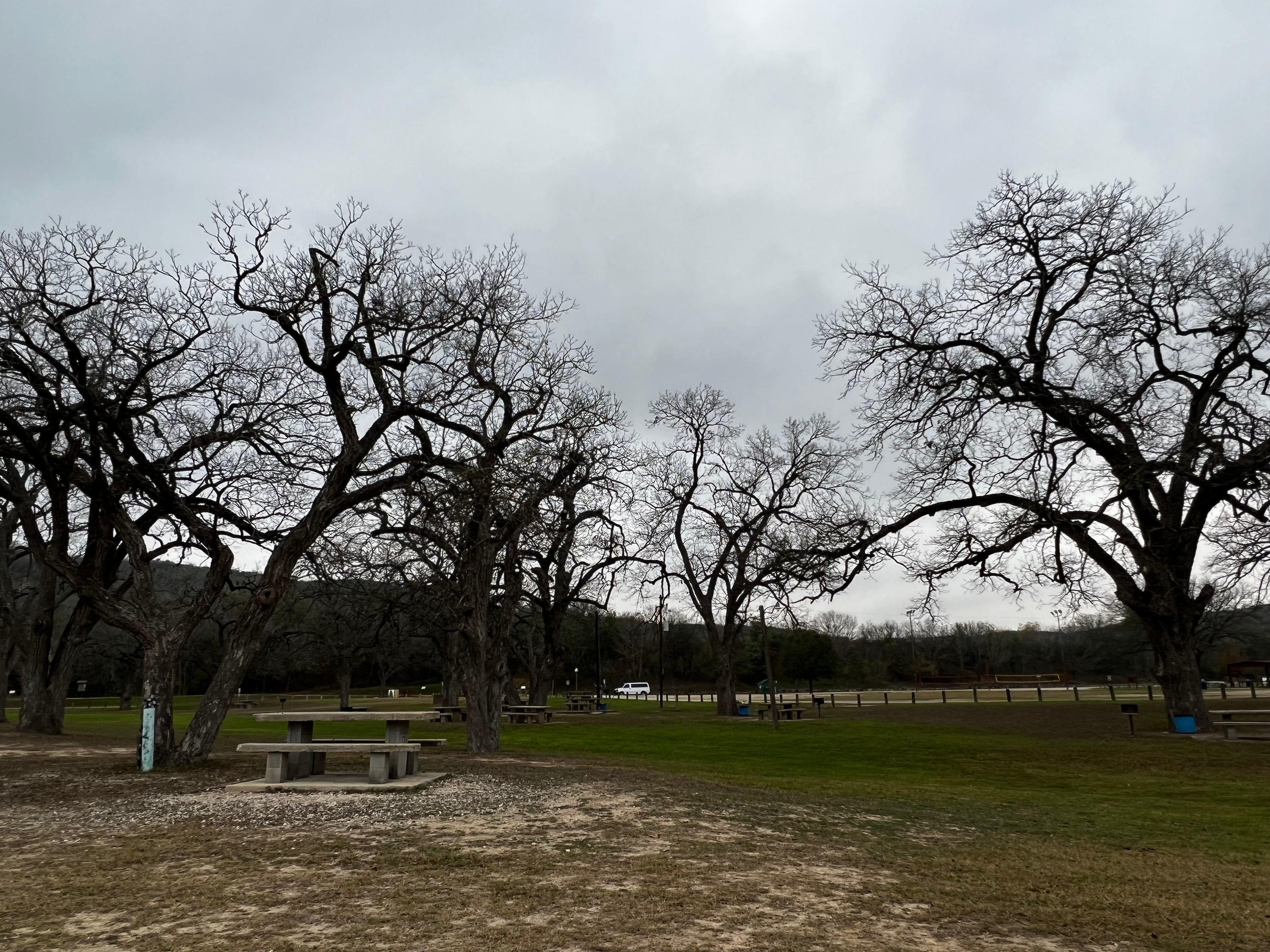 Camper submitted image from Castroville Regional Park - 5