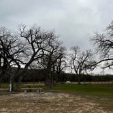 Review photo of Castroville Regional Park by christine , December 30, 2021