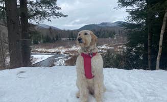 Shelby S.'s photo of camping with pets at Fox Lair Campsites near Lake Luzerne, NY