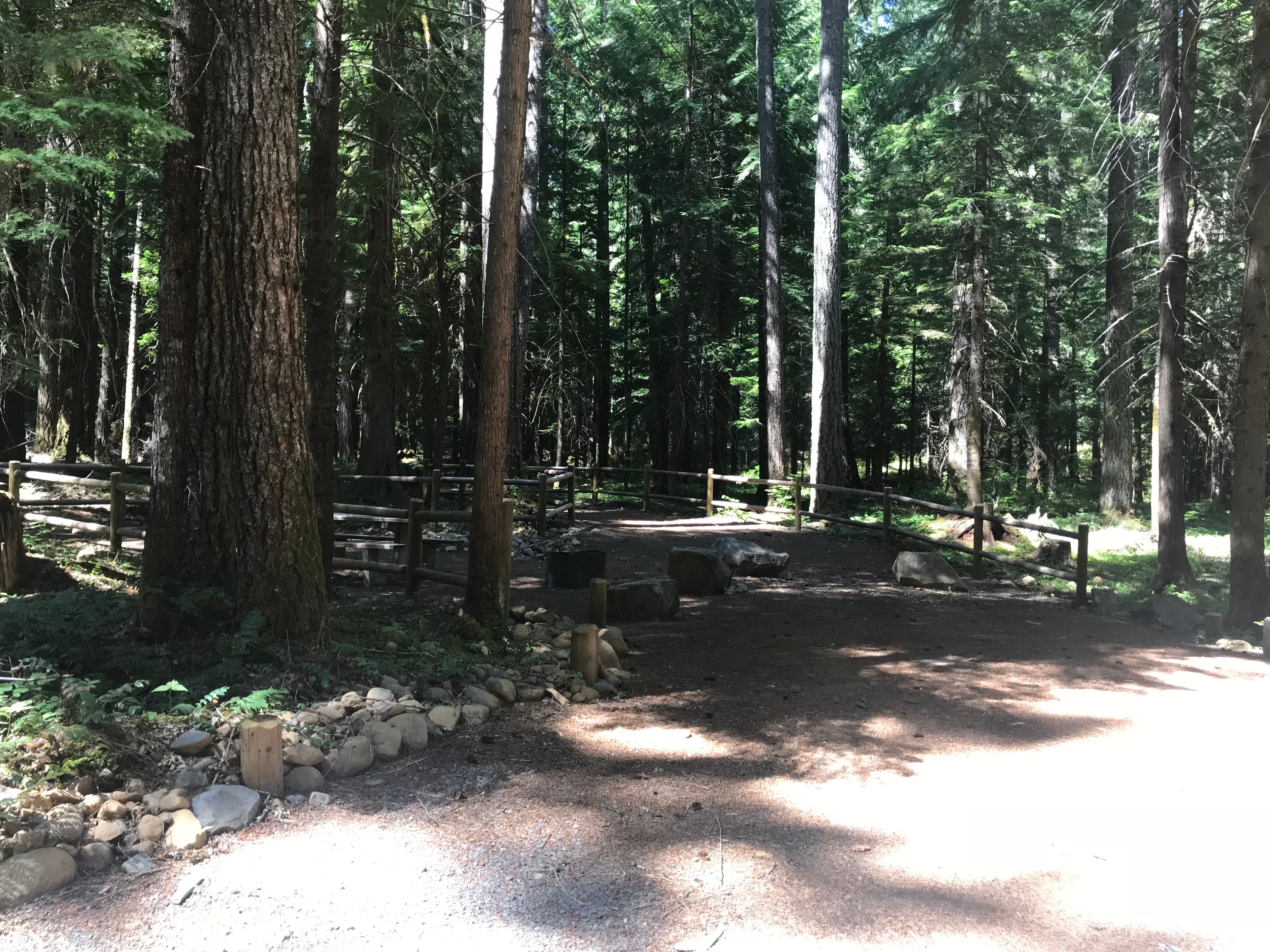 Camper submitted image from Marion Forks Campground - 2