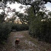 Review photo of Goose Island State Park Campground by christine , December 30, 2021