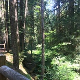 Review photo of Marion Forks Campground by Kate S., July 9, 2018