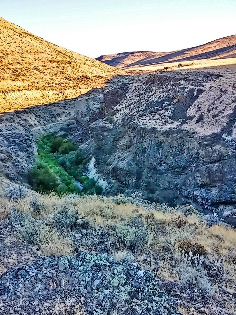Camper-submitted photo at Douglas Creek near Hartline, WA