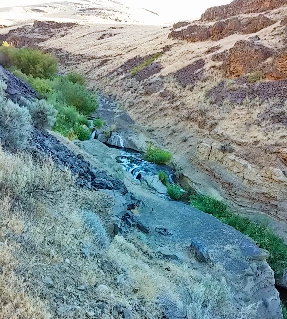 Camper-submitted photo at Douglas Creek near Hartline, WA