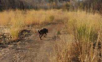 Philip D.'s photo of camping with pets at Umtanum Campground - Yakima River Canyon near Yakima, WA