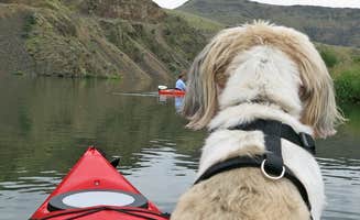 Garth B.'s photo of camping with pets at Roza - Yakima River Canyon near Mattawa, WA