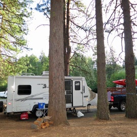 Nice campsites nestled into the trees.