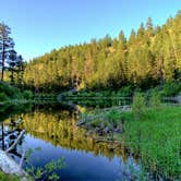 Review photo of Pearrygin Lake State Park Campground by Garth B., December 30, 2021