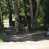 Review photo of Pearrygin Lake State Park Campground by Garth B., December 30, 2021