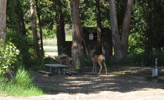 Garth B.'s photo of camping with pets at Pearrygin Lake State Park Campground near Oroville, WA
