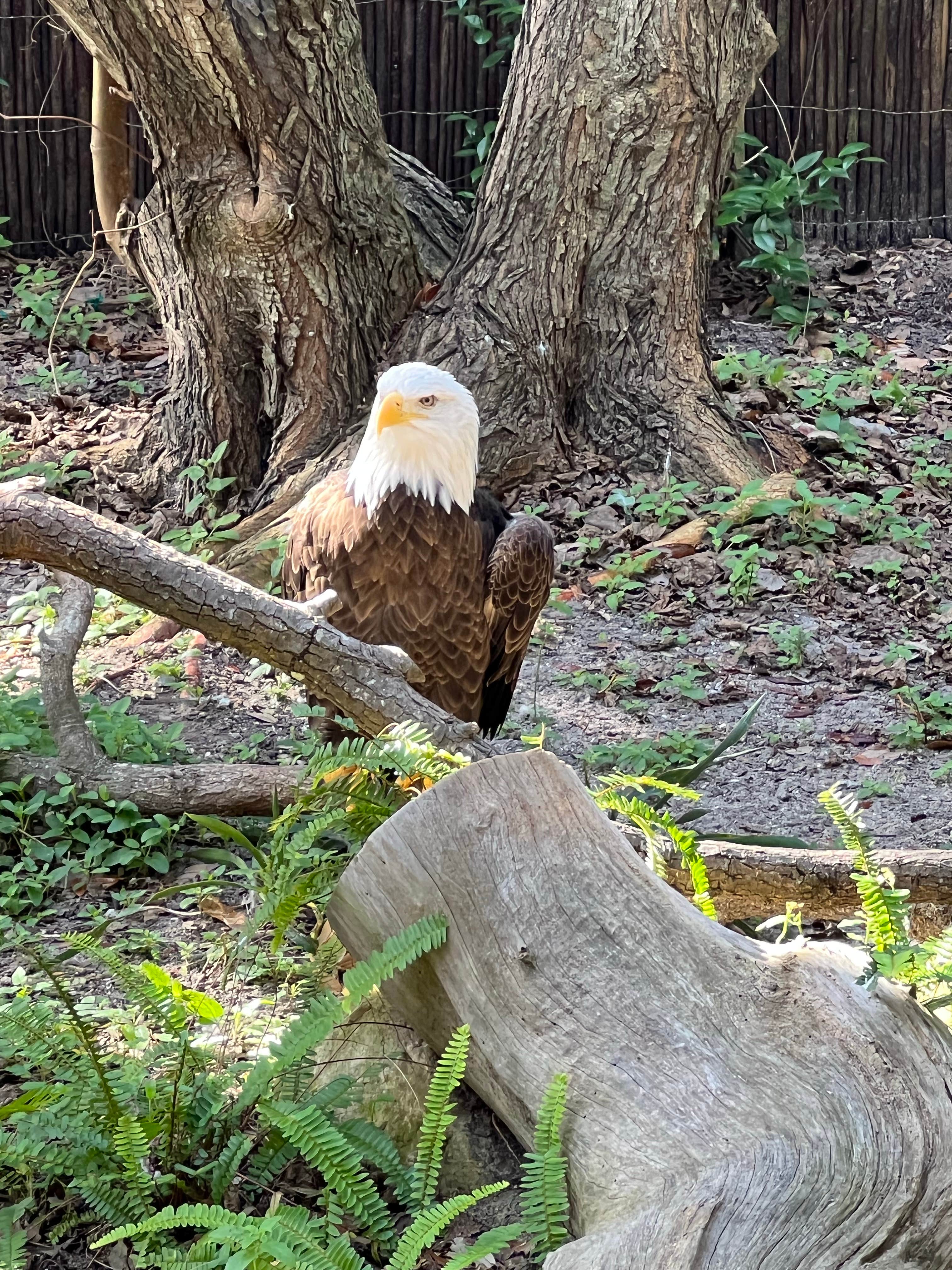 Camper-submitted photo at Fort Fisher Air Force Recreation Area near Wrightsville Beach, NC