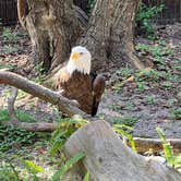 Review photo of Fort Fisher Air Force Recreation Area by E G., December 30, 2021