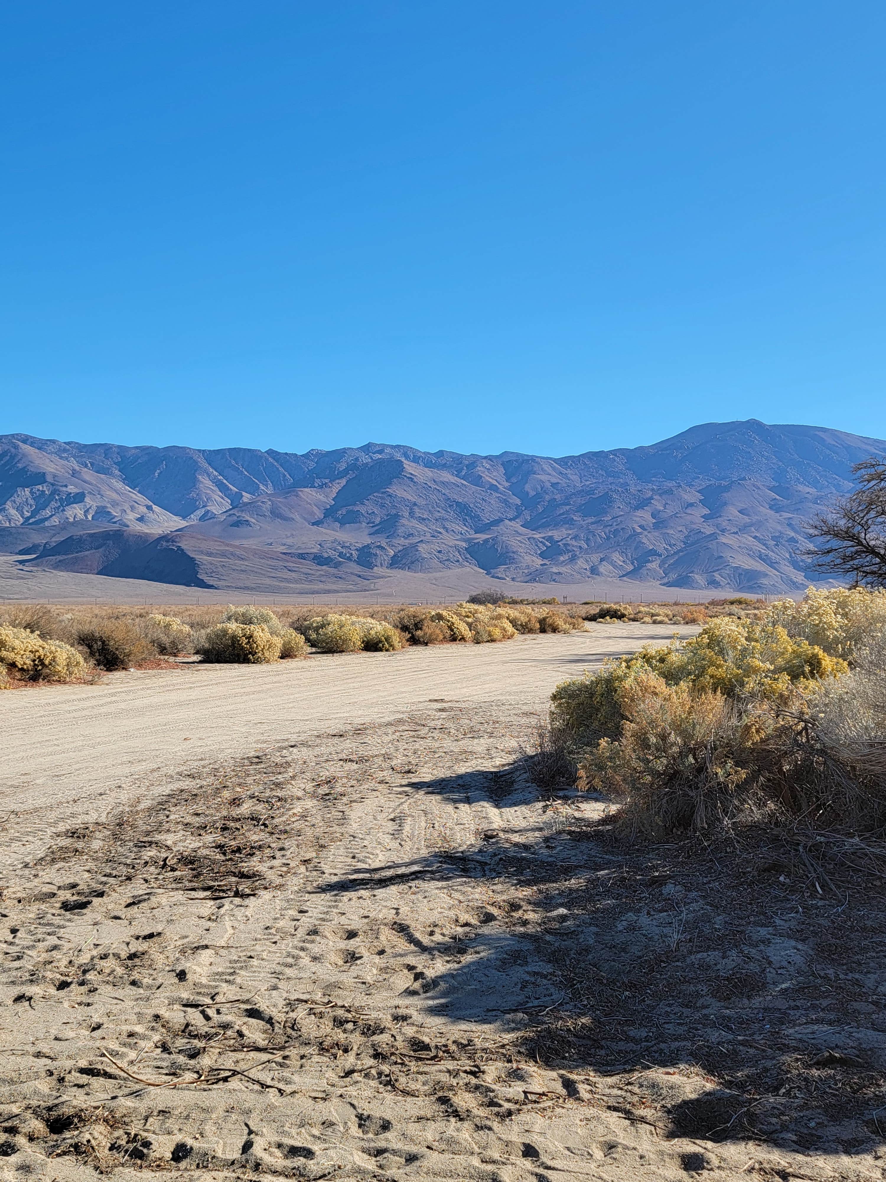 Camper submitted image from Taboose Creek Campground - 3