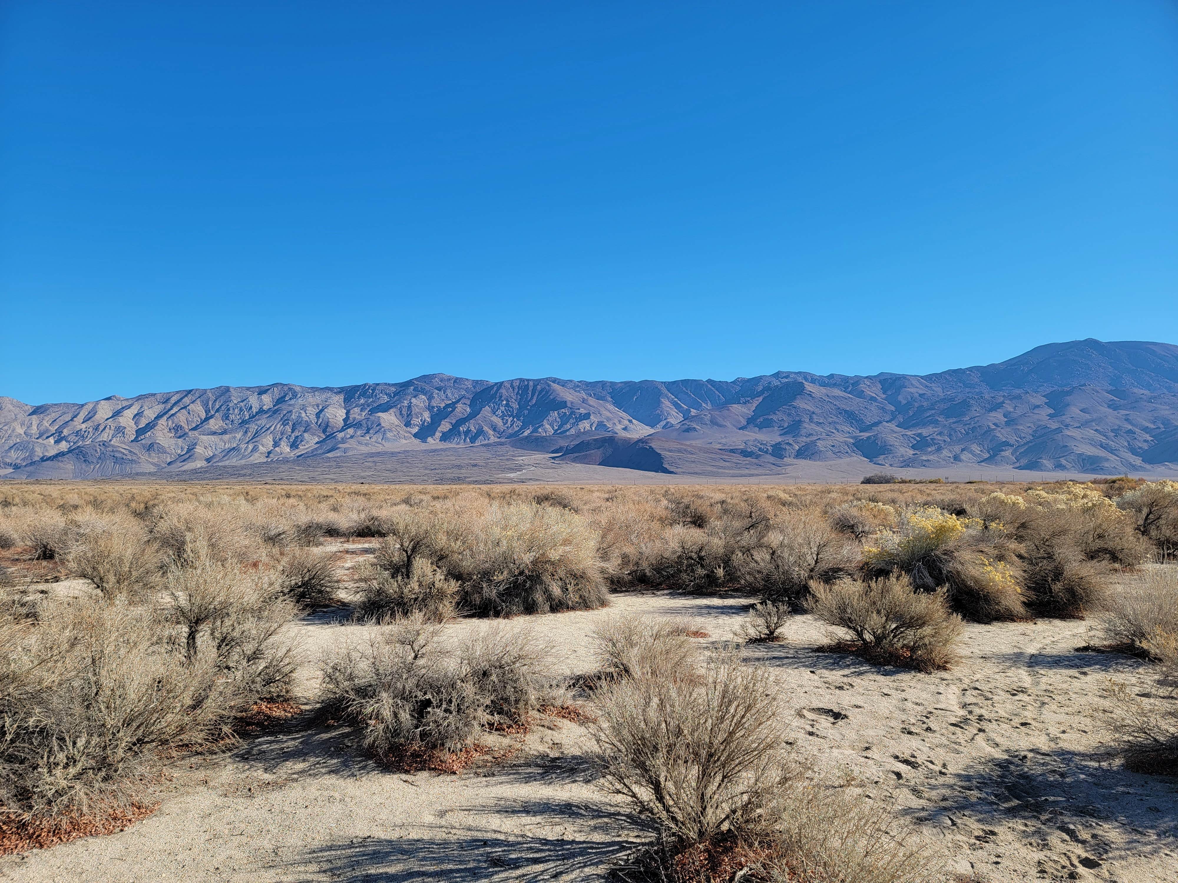 Camper-submitted photo at Taboose Creek Campground near Independence, CA