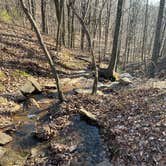 Review photo of Monte Sano State Park Campground by Latika Y., December 30, 2021