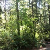 Review photo of Humbug Campground by Kate S., July 9, 2018