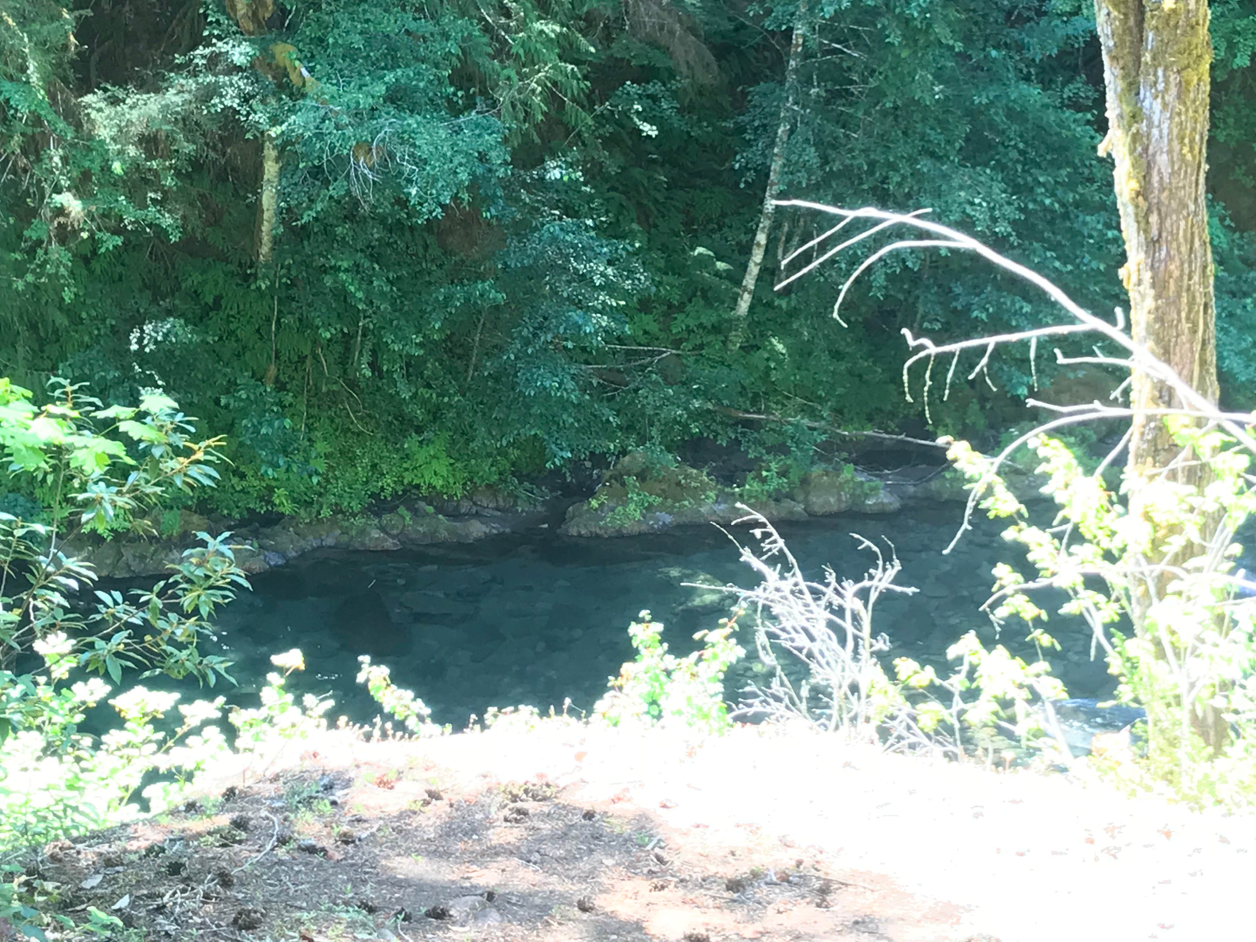 Camper-submitted photo at Humbug Campground near Gates, OR