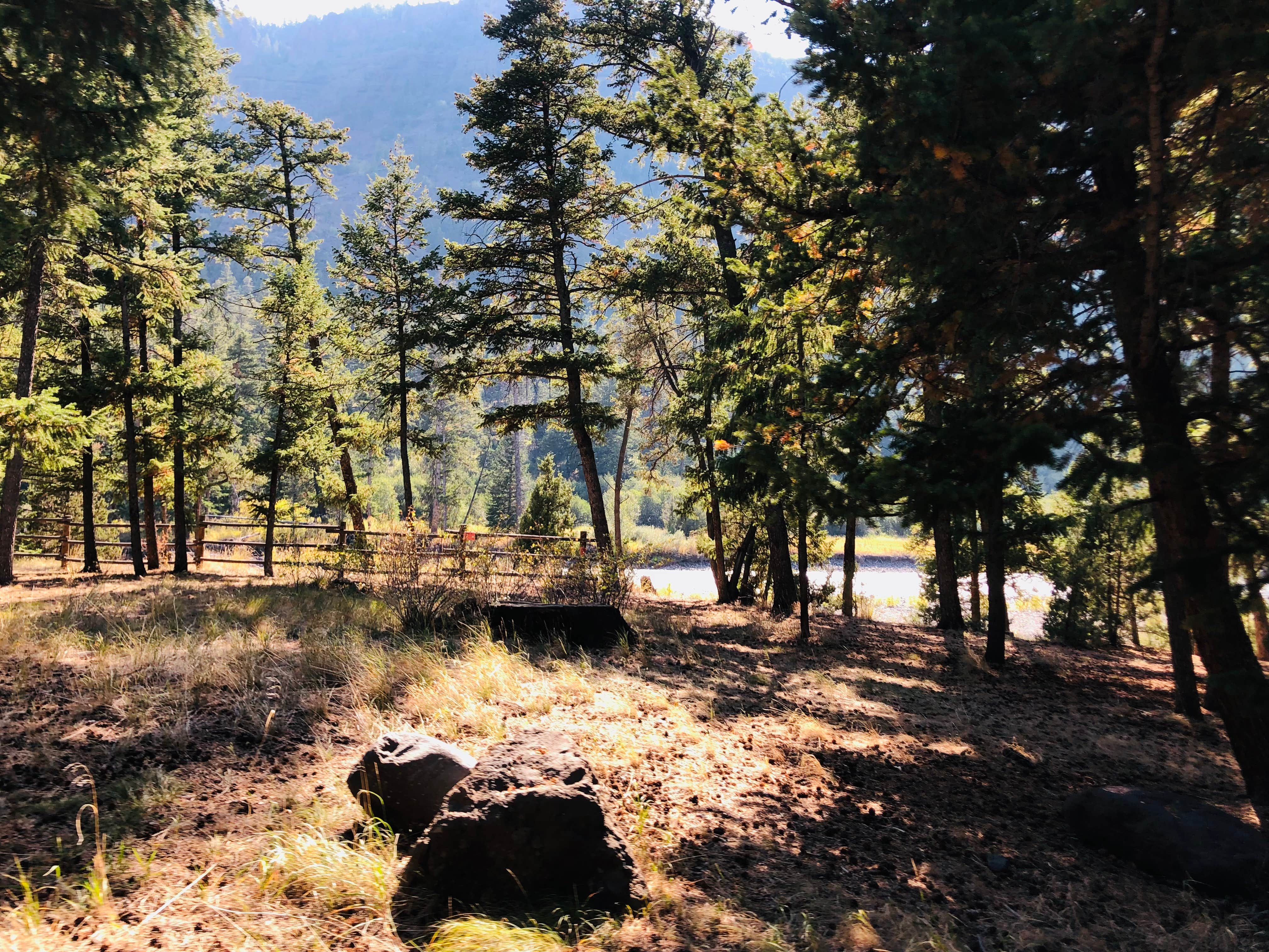 Camper-submitted photo at Newton Creek Campground near Shoshone National Forest