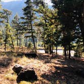 Review photo of Newton Creek Campground by N I., December 30, 2021