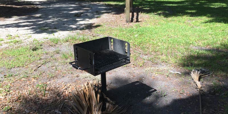 Camper submitted image from Mullet Lake Park