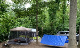 Camping near Big Woods Hiker-biker Overnight Campsite — Chesapeake and Ohio Canal National Historical Park: Yogi Bear's Jellystone Park Maryland, Williamsport, Maryland