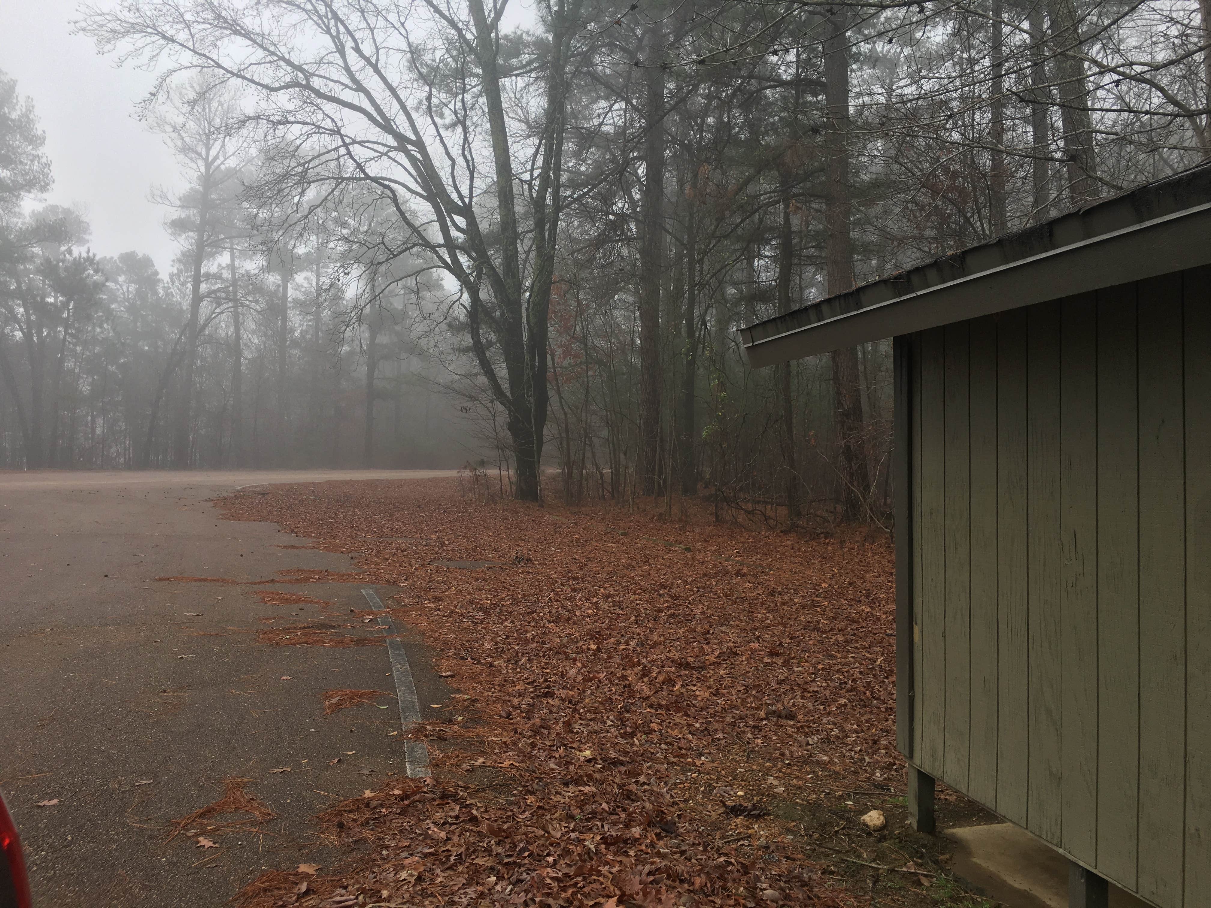 Camper submitted image from Kellys Crossing Campground - 5