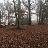 Review photo of Kellys Crossing Campground by Heath T., December 30, 2021