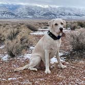 Review photo of Volcanic Tableland BLM Dispersed Camping by Jessica , December 30, 2021